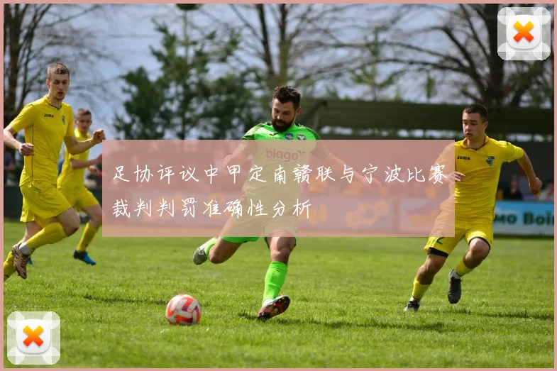足协评议中甲定南赣联与宁波比赛裁判判罚准确性分析